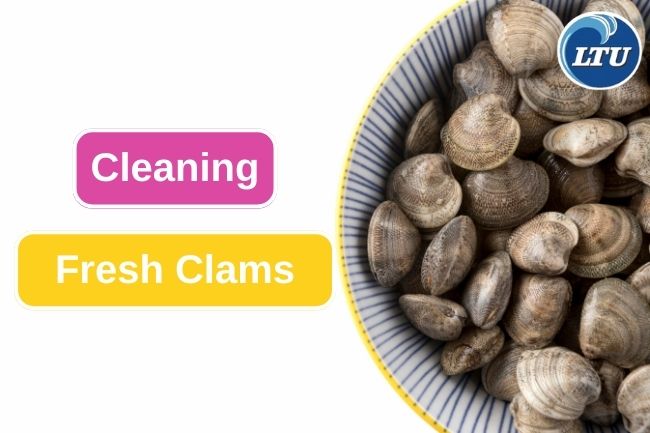 Try This Easy Steps To Clean Fresh Clams